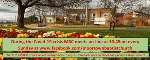 Thumbnail image for Watching Church at Home… a viewers guide