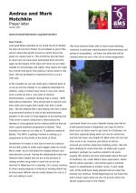 Thumbnail image for Andrea and Mark Hotchkin’s latest newsletter