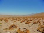 Thumbnail image for Lessons in the desert, part 2